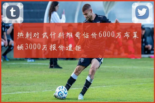 热刺对武什科维奇估价6000万布莱顿3000万报价遭拒