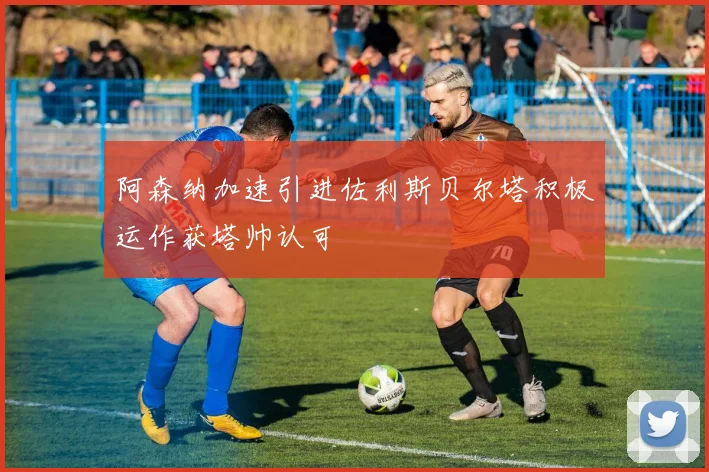 阿森纳加速引进佐利斯贝尔塔积极运作获塔帅认可